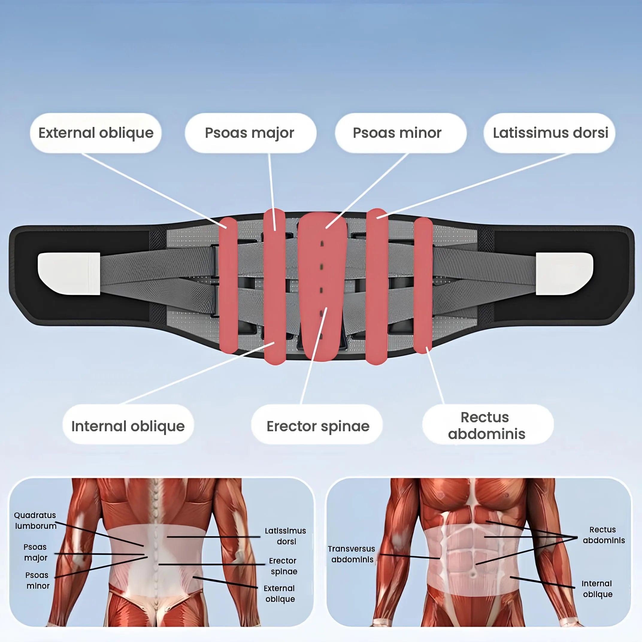 Ergonomic Support Brace with Comfortable 3D Pad