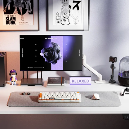 Single Monitor Mount